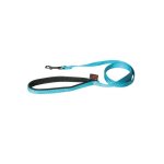 Laisse chien nylon 25 mm / 120 cm bleu