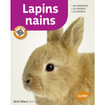 Lapins nains 65 pages 17 vid�os �ditions eugen ulmer