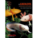 Livre l'axolotl aux �ditions animalia - 64 pages