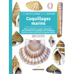 Livre coquillages marins aux �ditions salamandre - 64 pages