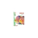 Livre les discus ; genre symphysodon aux �ditions animalia
