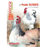 Livre la poule sussex aux �ditions animalia - 64 pages