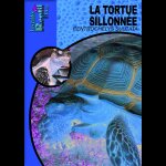 Livre la tortue sillonn�e aux �ditions animalia - 64 pages