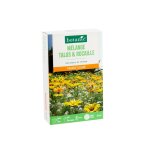Mlange de graines pour talus et rocaille botanic - graines  semer (10 m)