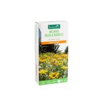 M�lange de graines pour talus et rocaille botanic� - graines � semer (25 m�)