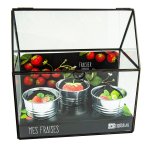 Mini serre  chssis noir pour fraisiers  semer 25x25x15 cm