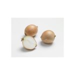 Oignon sturon ab bio calibre 10 / 21 botanic bulbes  planter - le filet de 500 g