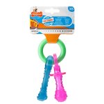 Os à mâcher et tétine pour chiot nylabone saveur bacon taille xs Os à mâcher et tétine pour chiot nylabone saveur bacon taille xs