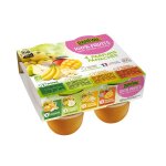 Panach de desserts de fruits x8 danival - 100 g