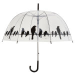 Parapluie transparent motif oiseaux  83 x h 81, 5 cm