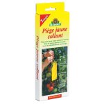 Pige jaune collant