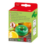 Pige  mouches de fruits avec appt 4x8x8 cm