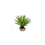 Plante succulente verte en tissu moyen mod�le � 10 cm