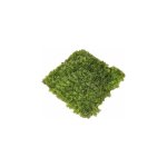 Plaque de gazon vert en plastique 28 x 28 cm