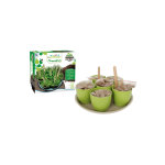 Plateau 7 pots en bambou avec graines et terre plante plante - 9 cm