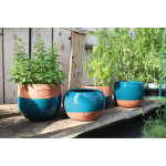 Pot aromates de 1, 2 l en terre maille bicolore  13 x 10 cm