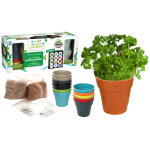 Pots en bambou avec graines et terre  planter plante plante - 3 varits