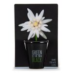 Pot black en cramique noire d edelweiss  semer  6