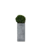 Pot carr haut stream coloris anthracite 23x23x55 cm