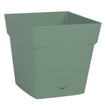 Pot carr vert laurier avec soucoupe clipse eda - 17, 4 x 17, 4 x 17 cm