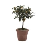 Pot cylindrique lisse gamme montelupo  50 cm