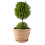 Pot gamme coco � 42 cm