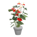 Pot horticole �maill� gris � 25 cm
