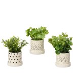 Pot de plante succulente coloris vert en cramique -  8 cm