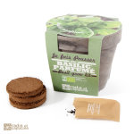Pot terre cuite basilic grand vert