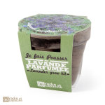 Pot terre cuite lavande