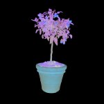 Pot toscane en terre cuite claire - �80 x h64