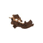 Racine maupani en bois naturel marron taille l 20, 5x12x9 cm Racine maupani en bois naturel marron taille l 20, 5x12x9 cm