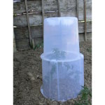 Rehausse cloche transparent 40 cm
