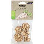 Rondelles bois et panais pour les rongeurs coloris beige eden zolux 40 g