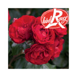 Rosier bal masqu� label rouge en pot de 5l