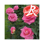 Rosier parfum royal� label rouge en pot de 5l