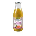 Soupe � l'indienne au curry manakara danival - 72 cl