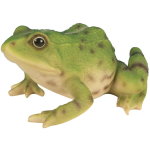 Statue de jardin grenouille verte h 15cm