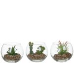 Succulente artificielle et bocal en verre 3 mod�les h 8 cm x � 10 cm