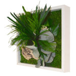 Tableau vgtal (ou cadre vgtal) stabilis mono s naturalys - 22 x 22 cm