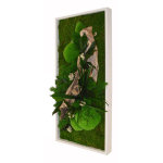 Tableau vgtal (ou cadre vgtal) stabilis rectangle m naturalys - 24 x 57 cm