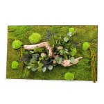 Tableau vgtal (ou cadre vgtal) stabilis rectangle xl naturalys - 60 x 100 cm