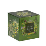 Th vert gingembre bio aux 2 citrons plantasia - 24 sachets