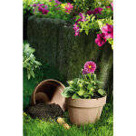 Vase brut en terre cuite 1. 7l couleur moka