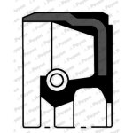 Bague d'�tanch�it� arbre � cames + vilebrequin payen nj951