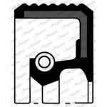 Bague d'�tanch�it� vilebrequin payen nb697