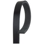 Courroie d'accessoires gates 5pk1113 Courroie d'accessoires gates 5pk1113