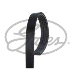 Courroie d'accessoires gates 5pk1260