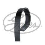 Courroie d'accessoires gates 6pk1763