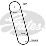Courroie de distribution gates 5100